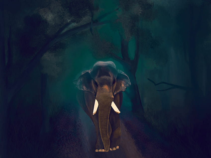 Digital painting kerala elephant by Renjith Ravindran on Dribbble, kerala elephants HD wallpaper