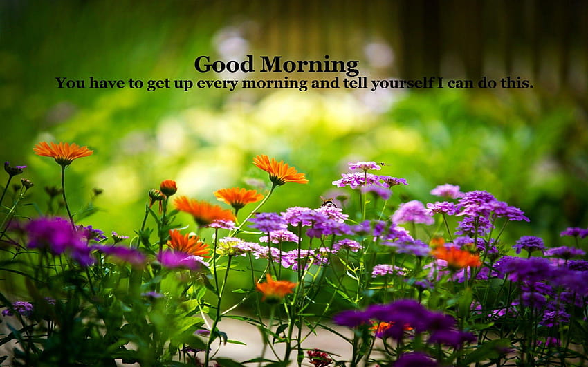 Latest Good Morning Love With Flowers For On, beautiful good morning ...