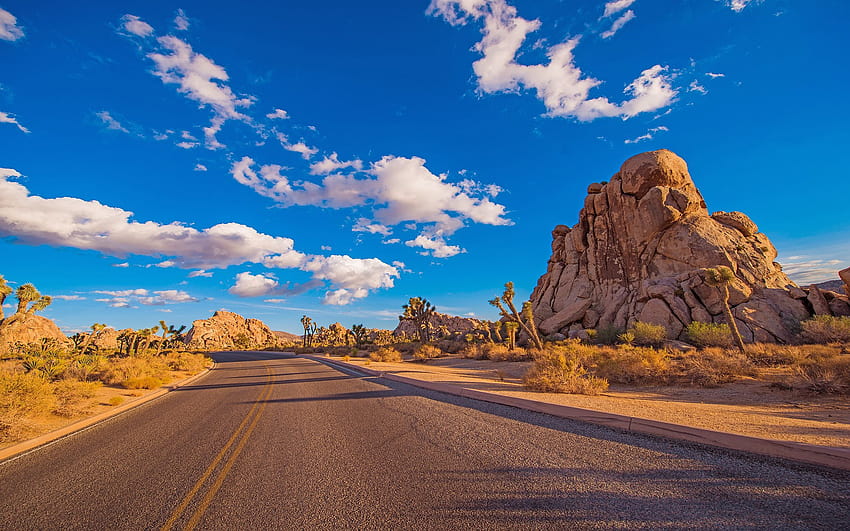 Desert Road อุทยานแห่งชาติ Joshua Tree เป็นพื้นที่คุ้มครองในแคลิฟอร์เนียตอนใต้ด้วยการก่อตัวของหินขรุขระและภูมิทัศน์ทะเลทรายสตาร์คแคลิฟอร์เนียสหรัฐอเมริกา 1920x1200 : 13, ทางหลวงทะเลทราย วอลล์เปเปอร์ HD