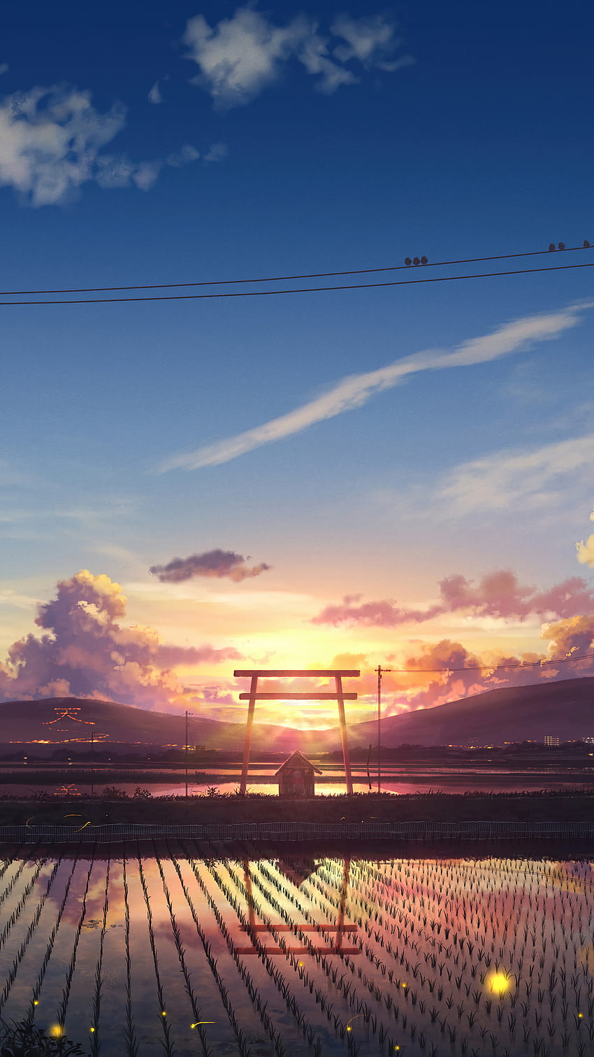 322923 Sunrise, Anime, Scenery, Paddy Field, Farm, phone , Backgrounds, and, iphone anime landscape HD phone wallpaper