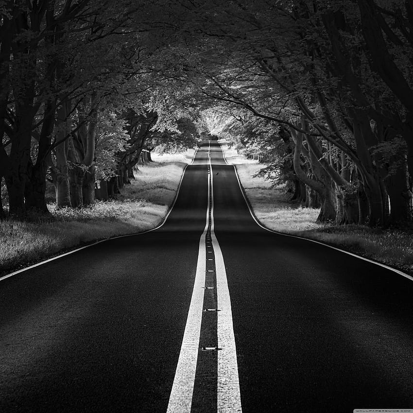 Road Landscape, Aesthetic, Black and White ❤, estético en blanco y negro fondo de pantalla del teléfono