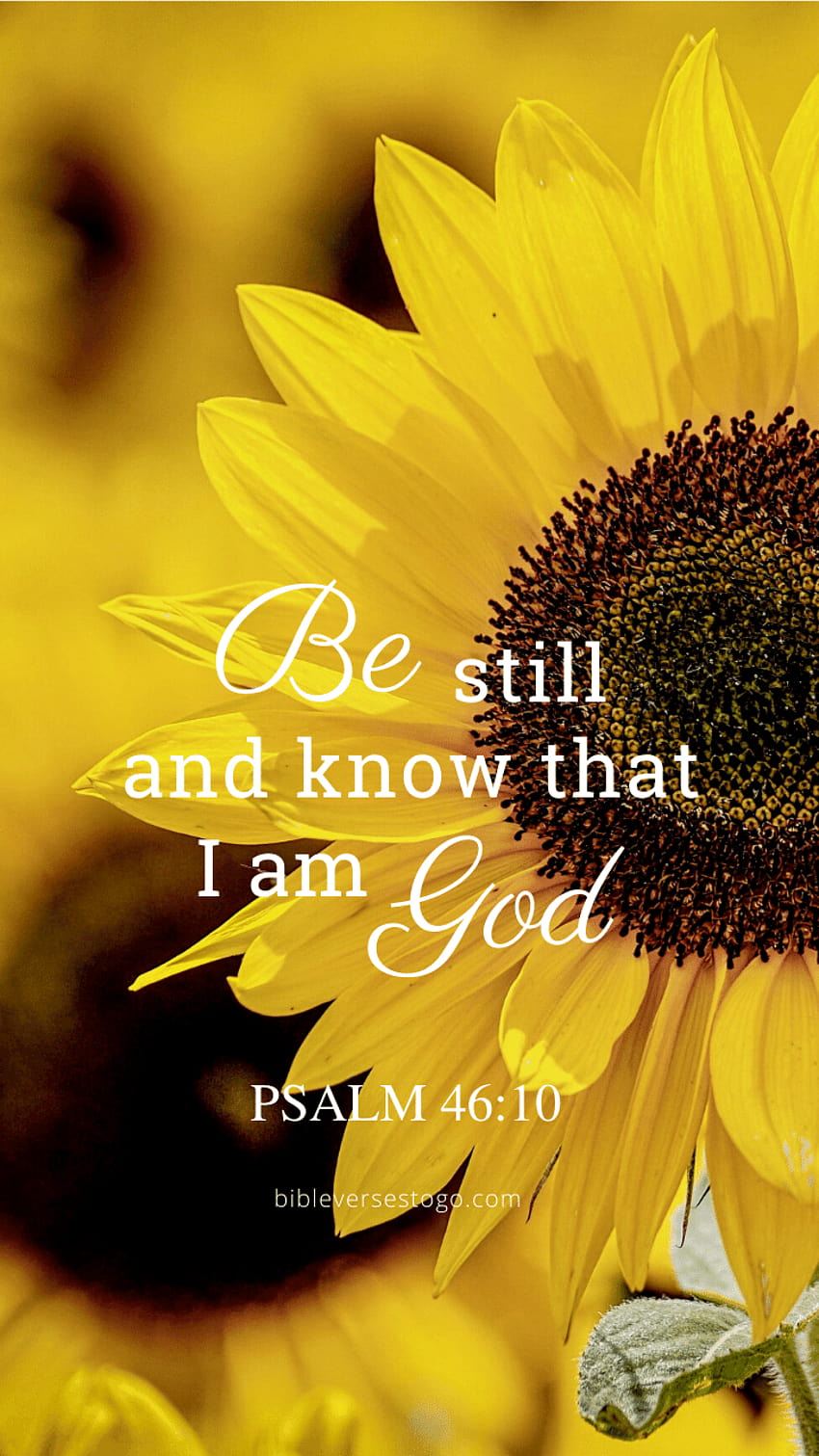 Sonnenblumen-Bibelvers – Bibelverse To Geh, sei still und wisse, dass ich Gott bin HD-Handy-Hintergrundbild