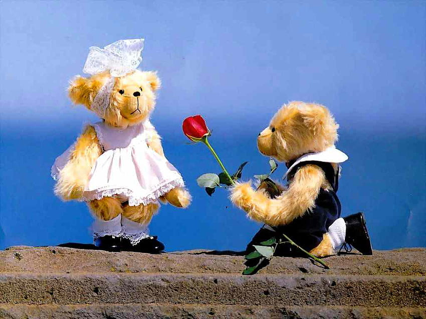 Romance Tender Teddy Bears HD wallpaper | Pxfuel