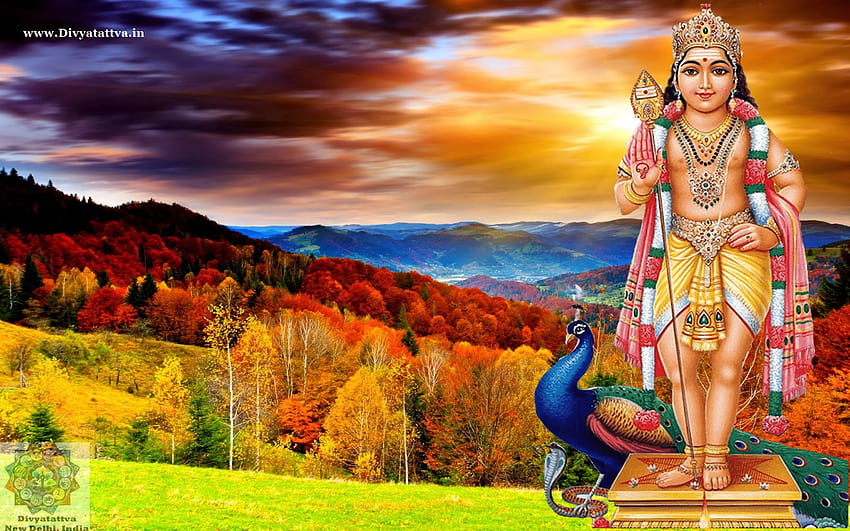 ヒンズー教の神ムルガ・カルティケヤ・スブラマンヤが背景を飾り、美しいヒンディー語の神々 高画質の壁紙