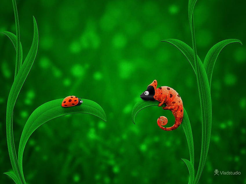 Ladybug and Chameleon · · Vladstudio, ladybird HD wallpaper