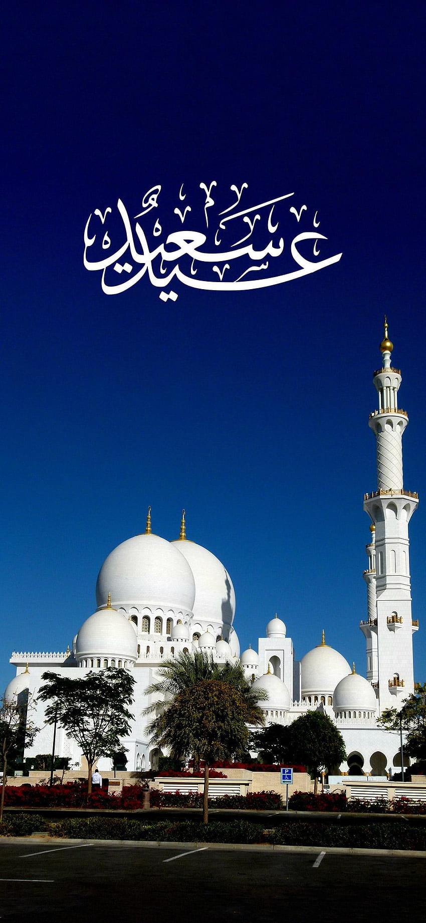 Sheikh Zayed Grand Mosque Center Islamic HD phone wallpaper | Pxfuel