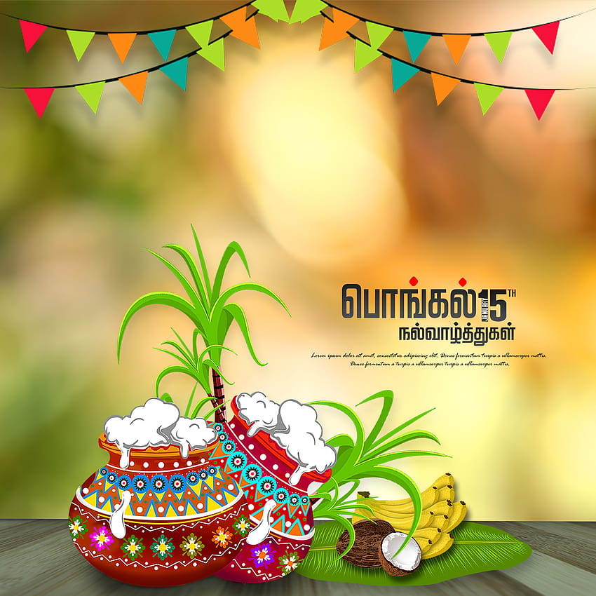 Happy Pongal 2022: Wishes, Status, Quotes, Messages and WhatsApp Greetings to Share in English and Tamil HD phone wallpaper