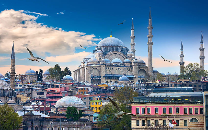 Истанбул Птици Джамия Турция Храмове Градове 2880x1800, Истанбул HD тапет
