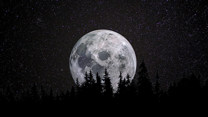 Пълна луна, гора, нощ, тъмно, звездно небе, природа, аниме тъмна луна HD тапет