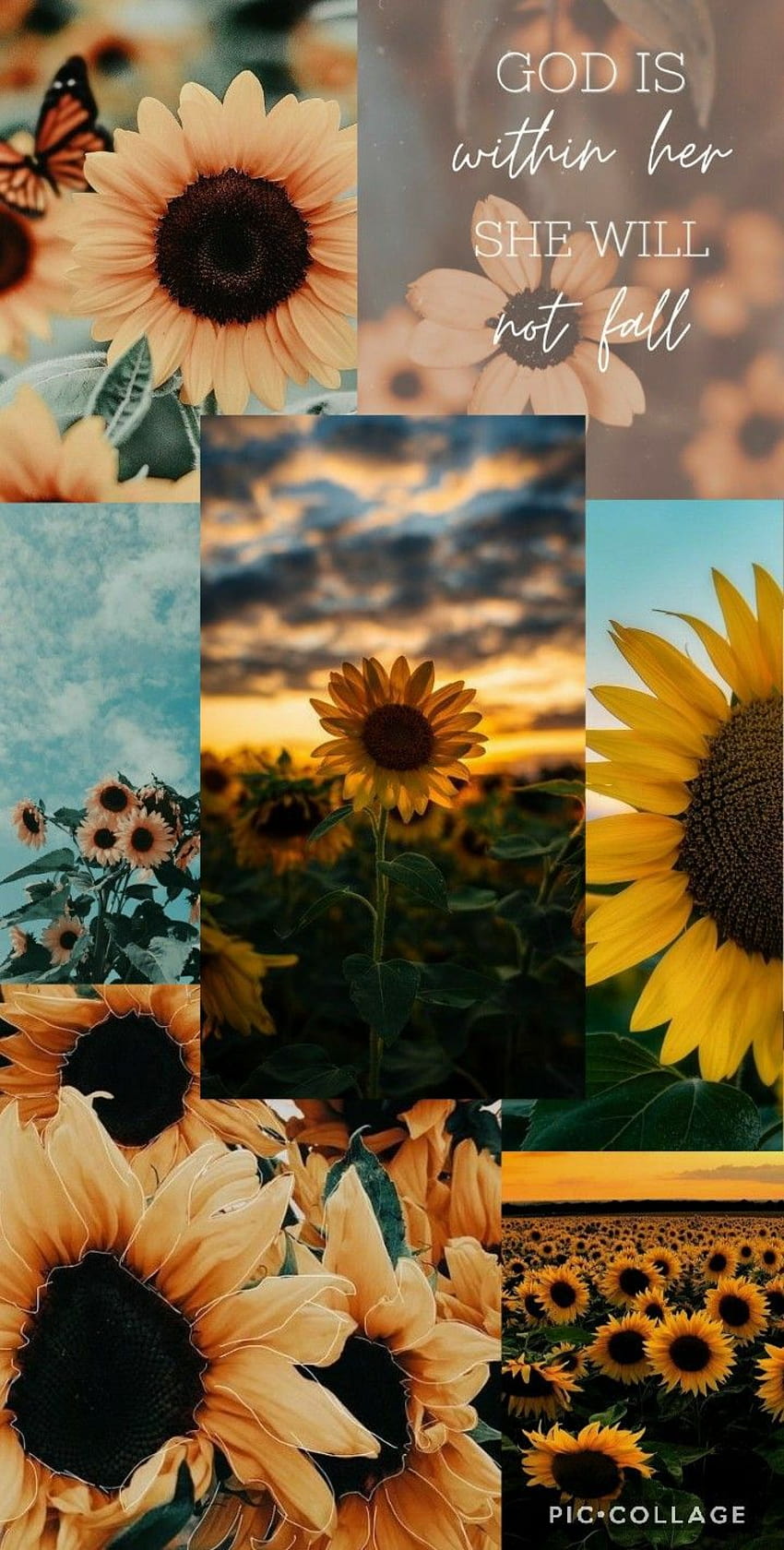 Ästhetische Sonnenblume!, Sonnenblumencollage HD-Handy-Hintergrundbild