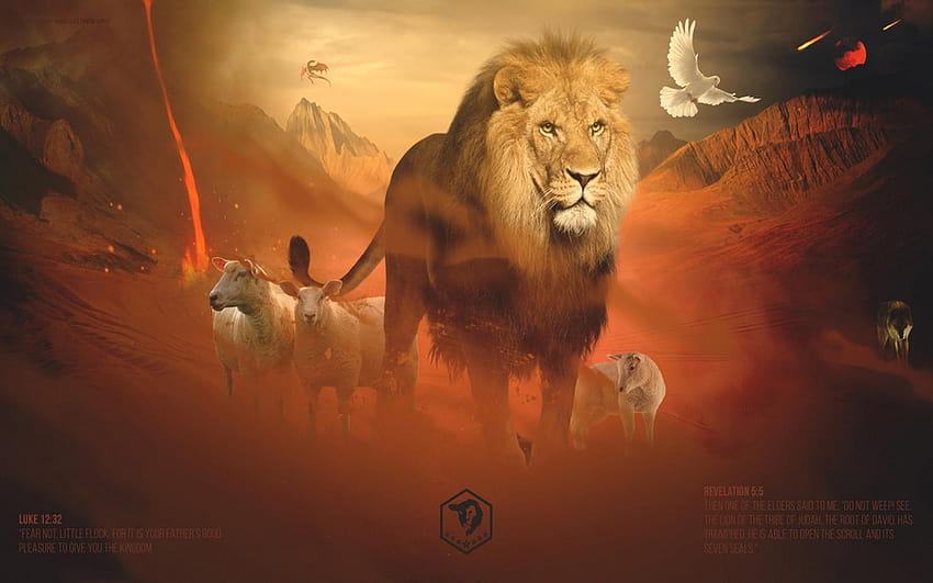 Lion Of Judah 1024x576 px HD wallpaper