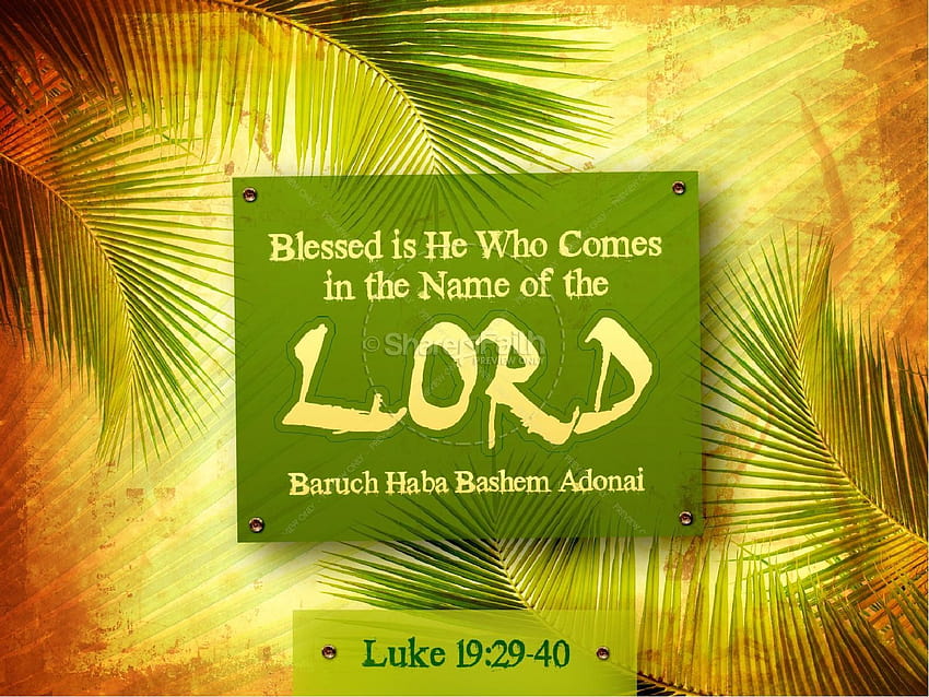 Palm Sunday Easter Passover PowerPoint, easter palm sunday HD wallpaper |  Pxfuel