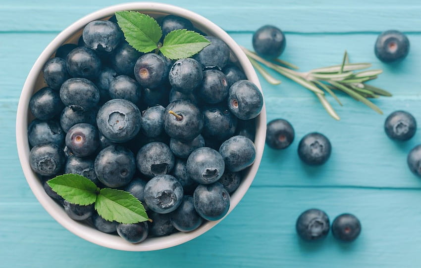 berries, blueberries, fresh, wood, blueberry HD wallpaper