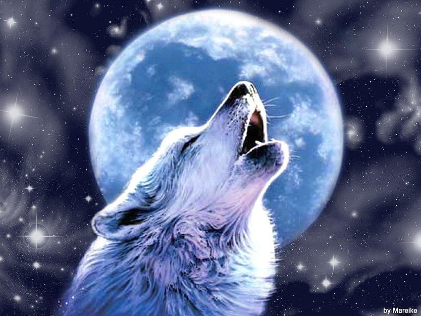 картини на вълци Тема за фонове Blue Moon Wolf, вълк, виещ на червената луна HD тапет