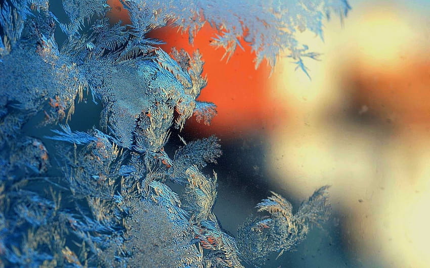 Winter frost patterns glass y ... up, winter glass HD wallpaper