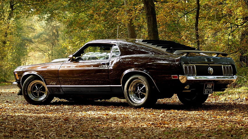 Brown Ford Mustang Coupe, Muscle Cars • For You For & Mobile, muscle cars 2021 HD wallpaper
