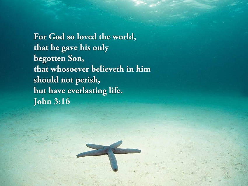 John 316 Everlasting Life Christian, john 3 16 HD wallpaper | Pxfuel