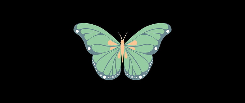 2560x1080 Schmetterling, Kunst, Vektor, Minimalismus, zwei breite Hintergründe, Schmetterlingskunst HD-Hintergrundbild