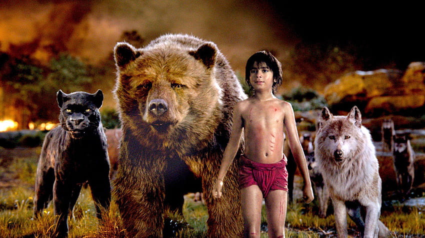 Księga dżungli Mowgli Bagheera Baloo Wolf Tapeta HD
