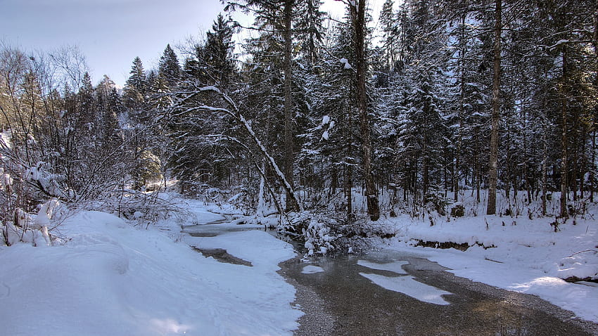 Winter, snow, river, forest, landscape, winter river HD wallpaper | Pxfuel