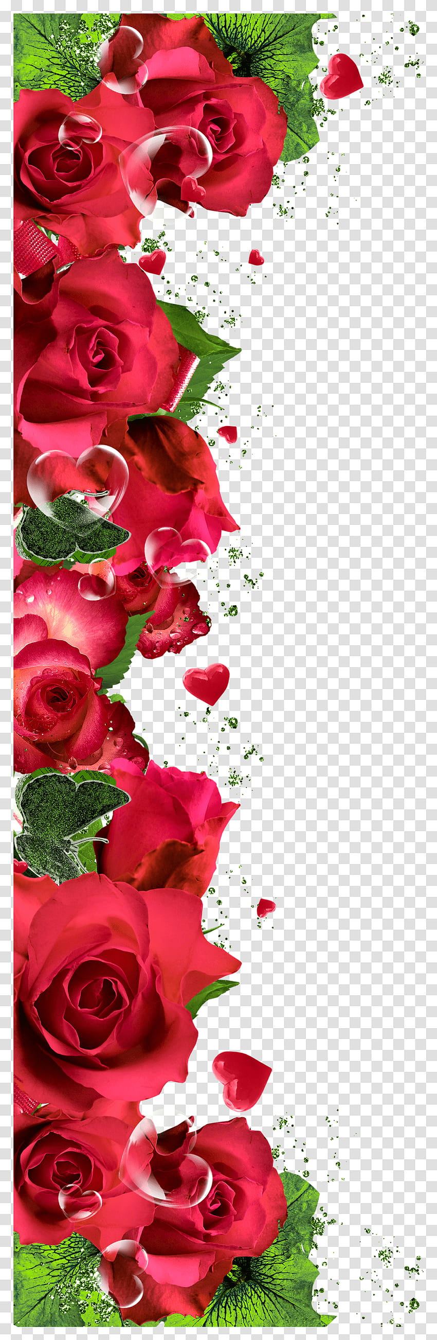 Wzory Tła Iphone Rose Flower Borders Transparent Png – Pngset, rose plant Tapeta na telefon HD