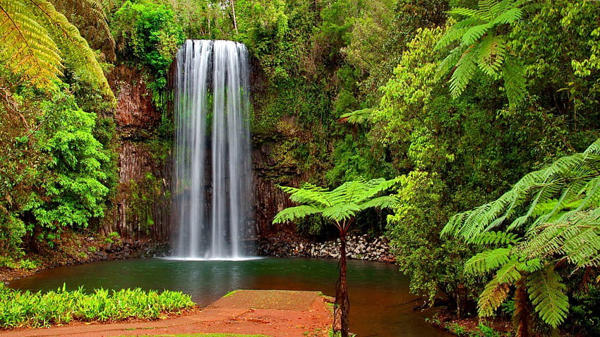 Waterfalls: Beautiful Waterfall Art Nature Swan Eggs Flowers, waterfall paradise HD wallpaper