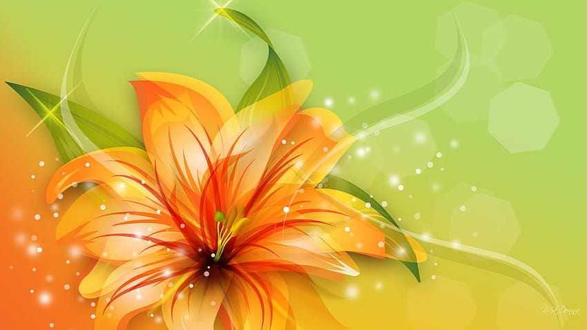 Amazing orange lily flower HD wallpaper