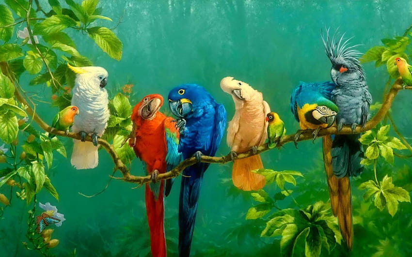 Parrot Burung Berwarna-warni Pada Cabang Merah Kuning Biru Putih Macaw Parrot 1920x1080 : 13, parkit biru Wallpaper HD