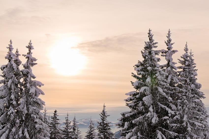hiver, Neige, Montagne, Snow, Nature, Landscapes, Frozen, Winter, / and Mobile Backgrounds, frozen winter HD wallpaper
