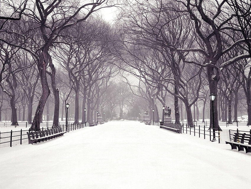 Central Park Snow, scena invernale del parco Sfondo HD