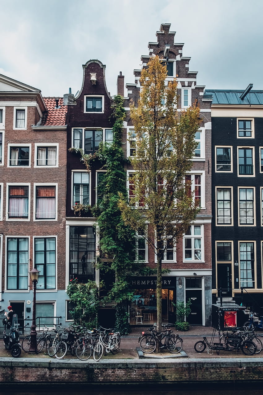 アムステルダム、オランダ、アムステルダムの秋 HD電話の壁紙