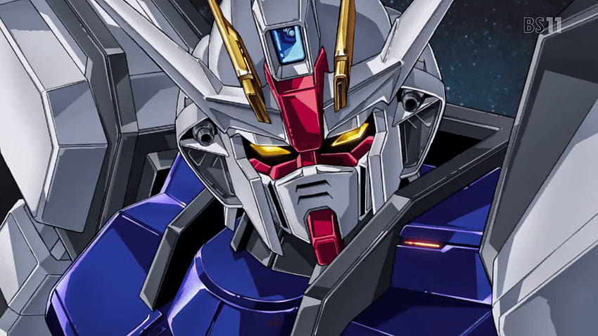 Gundam Seed Strike Gundam and backgrounds, gundam strike dom HD wallpaper
