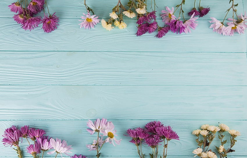 Backgrounds Wood Flowers, summer wood flowers HD wallpaper