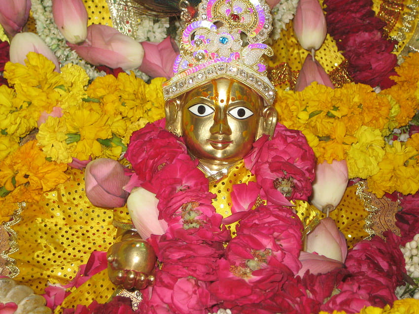 Shri Krishna Janmashtami Mahotsava – 24 lipca 2008, shree bal gopal bhagvan pełny Tapeta HD