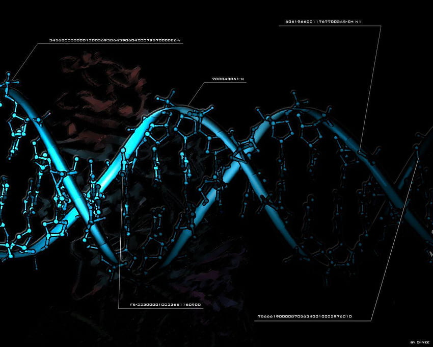 Dna Molecule 1280x1024, dna background HD wallpaper