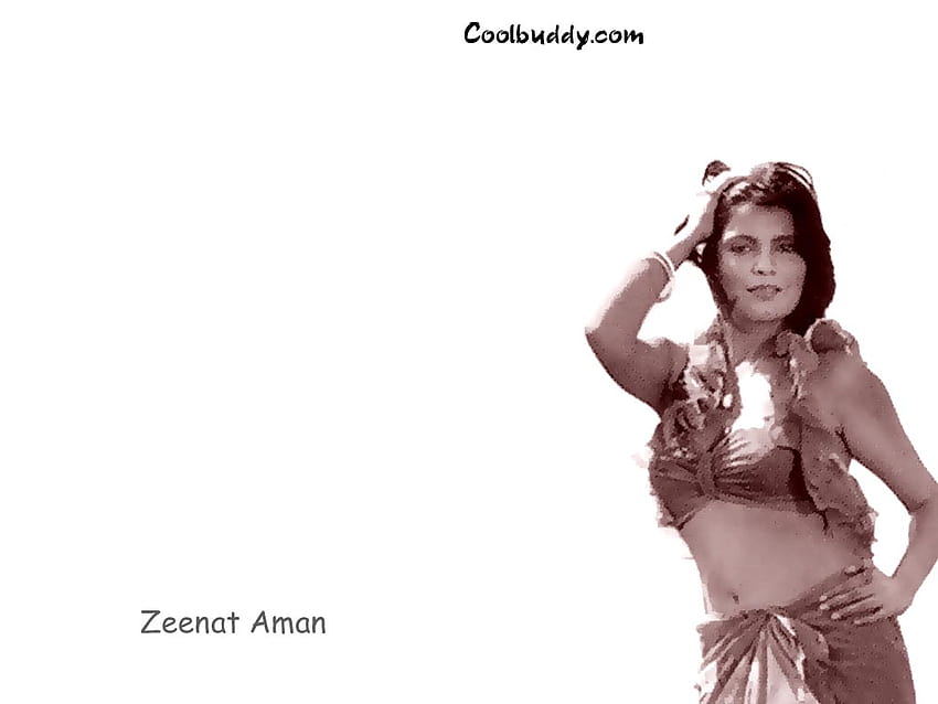 Wallpaper - Zeenat Aman in Love, Life & Screw Ups (409957) size:1280x800