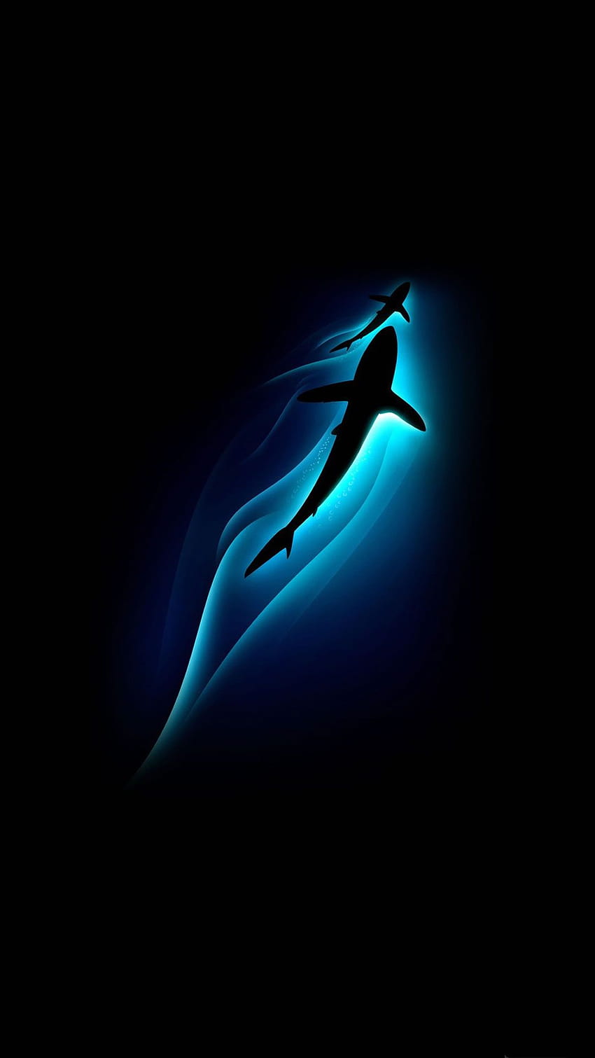 Sharks Ocean Depth Light iPhone 8, shark android HD phone wallpaper