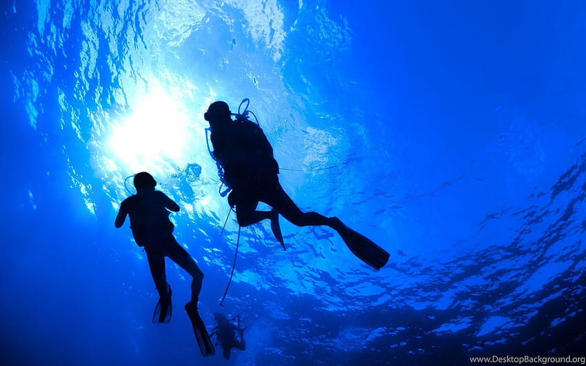 Scuba Diving Diver Ocean Sea Underwater Backgrounds, scuba diver HD wallpaper
