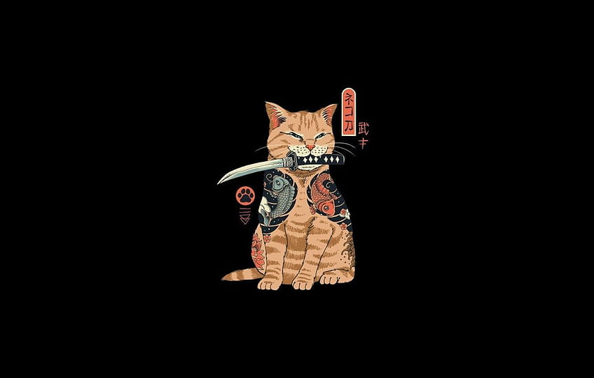 Katze Samurai, japanische Katze HD-Hintergrundbild