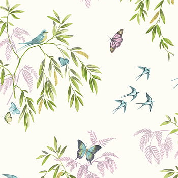 Details more than 54 bird and butterfly wallpaper  incdgdbentre