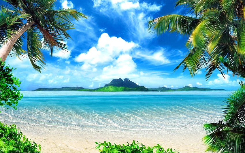 tropische Entspannung HD-Hintergrundbild
