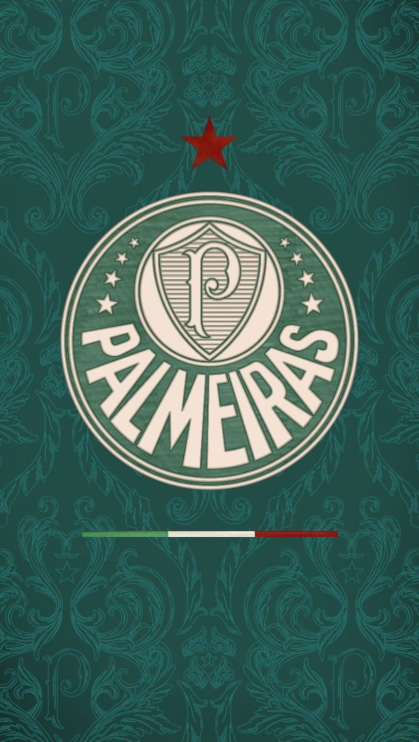 Mach Palmeiras, dudu Palmeiras HD-Handy-Hintergrundbild