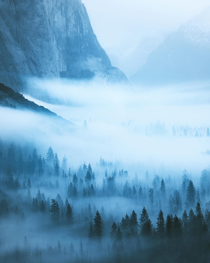 Ver la niebla flotar en un día lluvioso. Valle de Yosemite, CA [OC] [3200 x 4000]: EarthPorn, niebla matutina del valle de Yosemite fondo de pantalla del teléfono