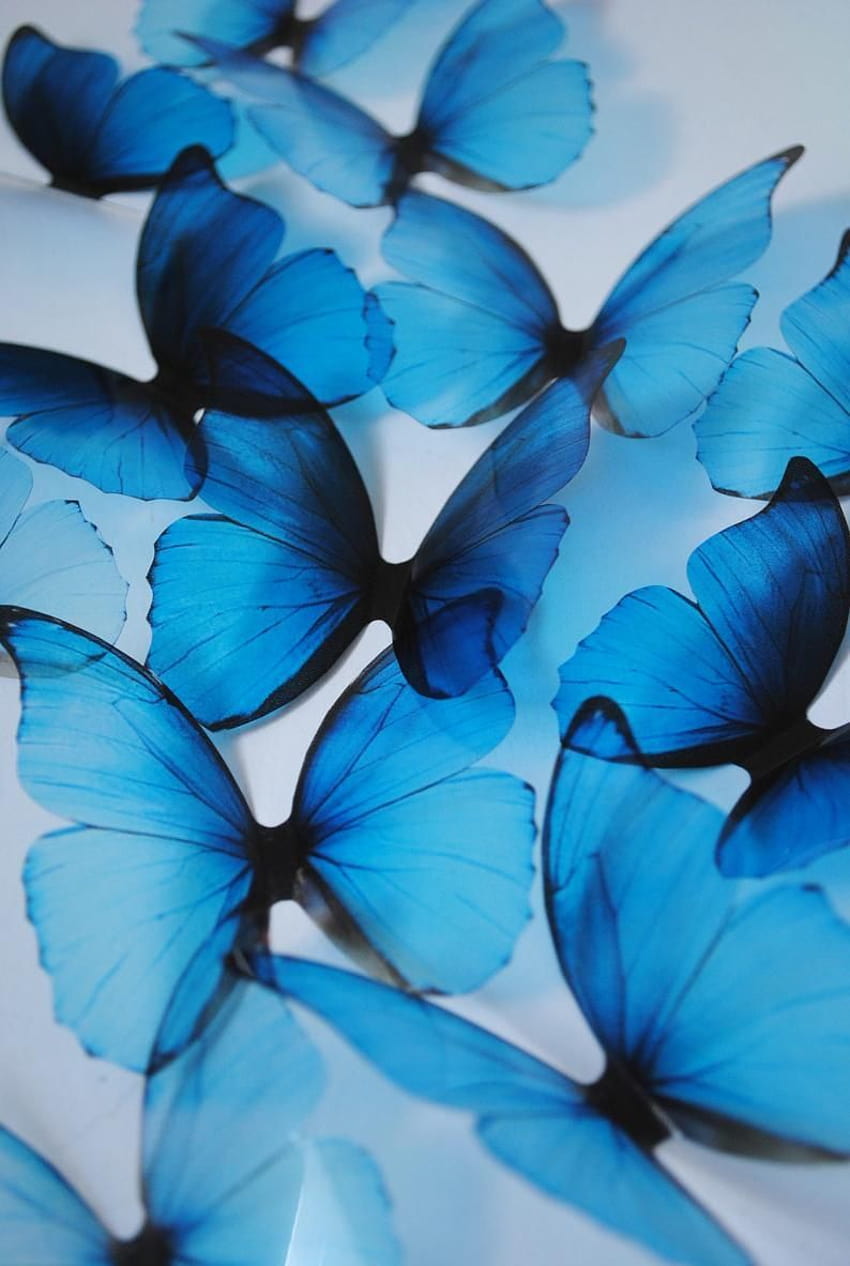 Blue rainbow butterflies, ombre butterflies HD phone wallpaper