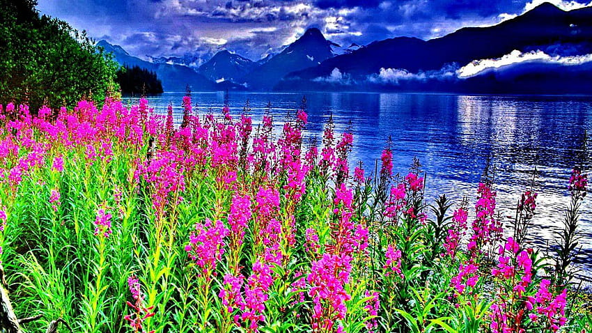 Цвете Пастел Меки ярко сини макове Розово лятно боке Пеперуди, пейзаж с планинско езеро и цветя HD тапет