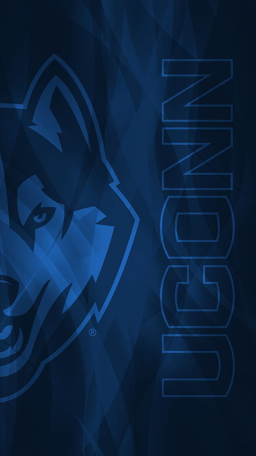 UConn Huskies University of Connecticut [1080x1920] for your , Mobile & Tablet HD phone wallpaper