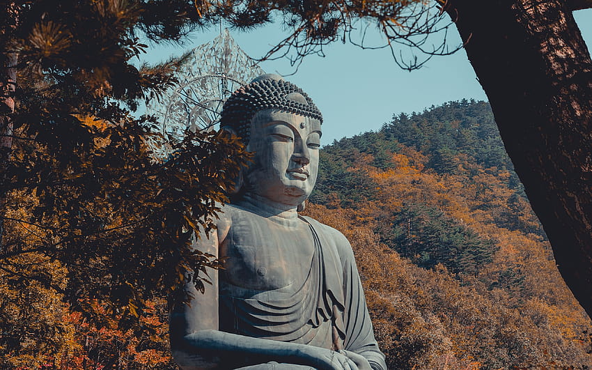 3840x2400 buddha, buddhism, sculpture, bronze, seoraksan, south korea ultra 16:10 backgrounds, buddha ultra HD wallpaper