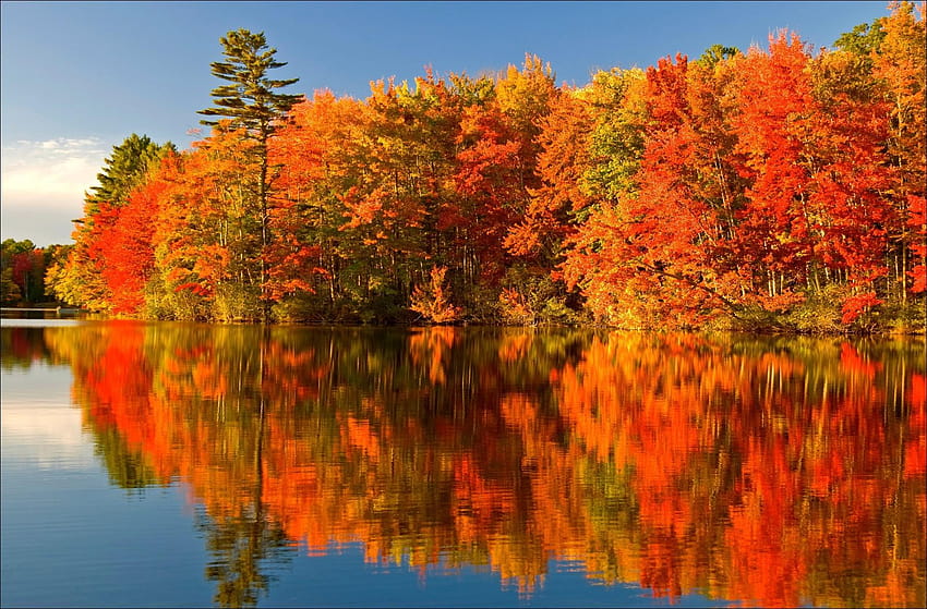 Other, Autumn, Colours, Algonquin, Park, Ontario, Reflection, fall ...
