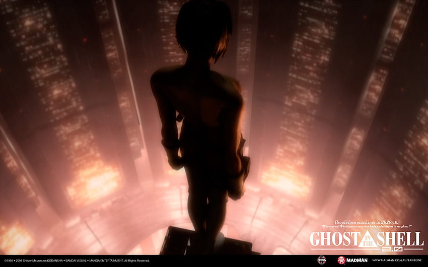Search results for 'Ghost in the Shell', ghost in the shell 2 innocence HD wallpaper