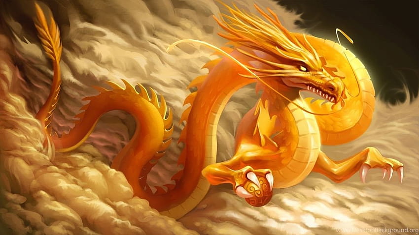 Gold Dragon 23 Hive Backgrounds, dragão dourado papel de parede HD